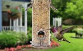 Hummingbird  Feeder; Outdoor Hanging Premium Grade Metal Tube; Chew-Proof; Weather and Water Resistant